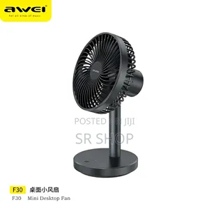 Awei F30 Mini Desktop Fan- Time Square