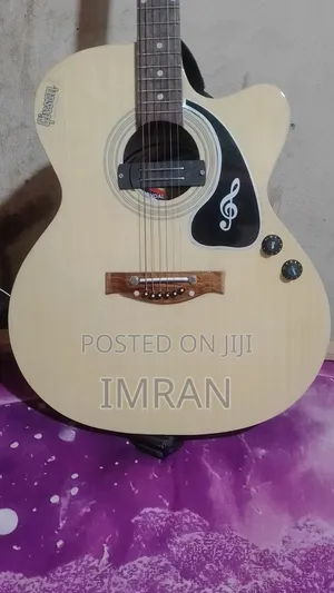 Photo - Givson Acoustic Semi Electric Guitar