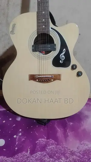 Givson Acoustic Semi Electric Guitar