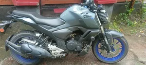 Photo - Yamaha FZ 2024 Gray