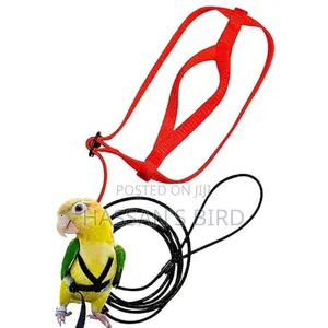 Body Harness for All Bird's