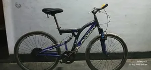 Photo - Phoenix Cycle