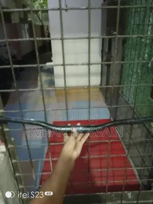Photo - Handle Bar