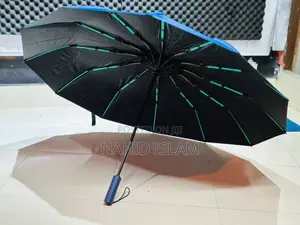 Photo - Premium 12-Ribs Automatic Dual Umbrella With Fiber Handle