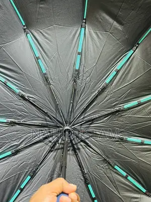 Premium 12-Ribs Automatic Dual Umbrella With Fiber Handle