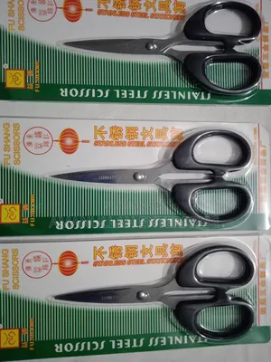 Stainless Still Scissor.