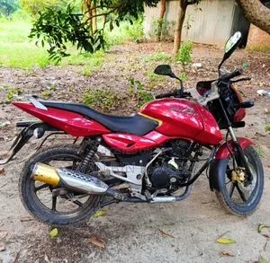 Photo - Bajaj Pulsar 150 2011 Red