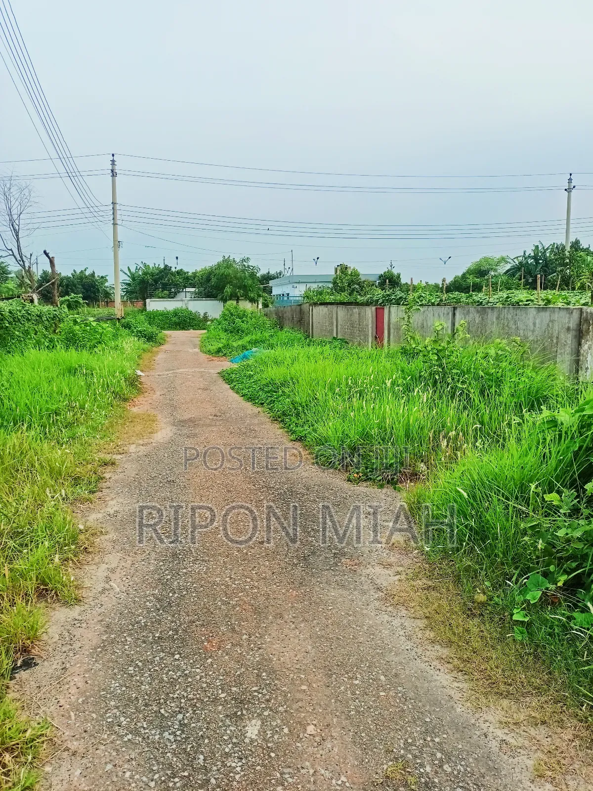 5 Katha Plot Sale in Purbachal Besid the 300 Feet Expressway