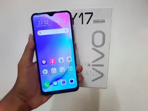 New Vivo Y17 256 GB