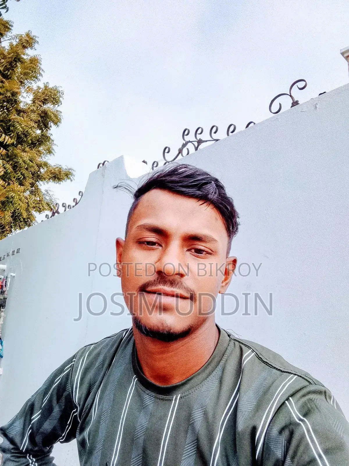 কার্পেন্টার শাটারিং