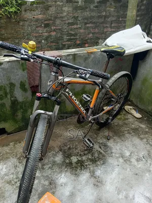 Photo - Phoenix Cycle