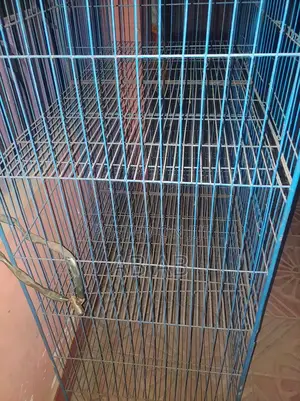 Photo - ২৪ বাই ২৪ খাচা ৮ খোপ ভালো কন্ডিশন