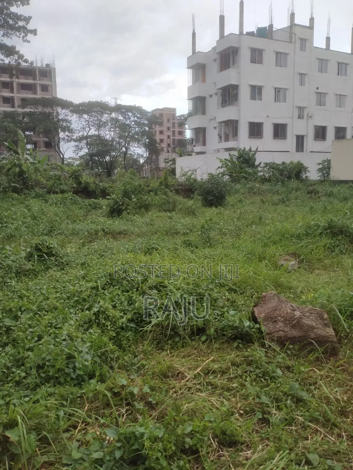 Visa Purpose Valuation