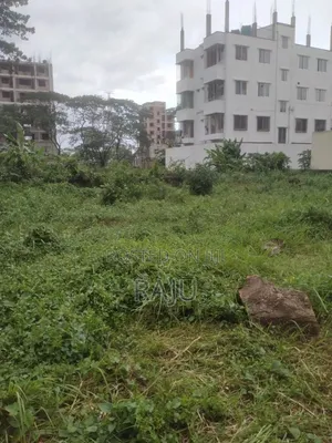 Photo - Visa Purpose Valuation