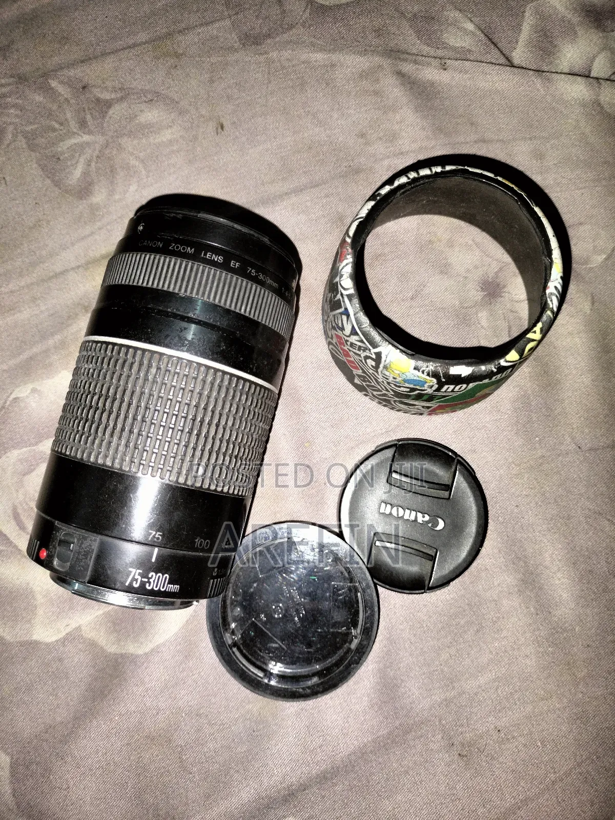 Canon 75-300 Zoom Lens