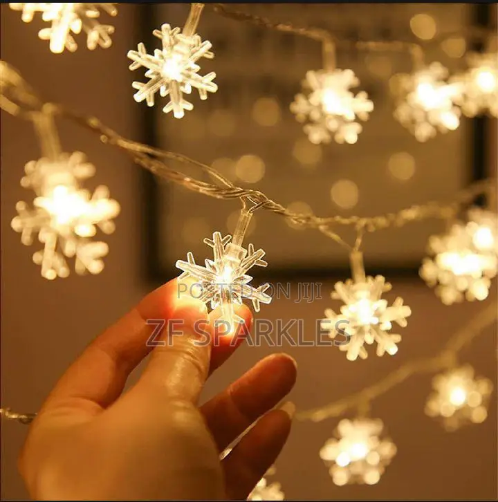 Snow Flake Lights.