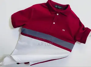 Photo - Premium Polo Shirt for Men | Ar Lux Collection