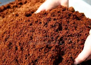Photo - Natural Coco Peat for Garden-5 Kg (Ready Coco Peat)
