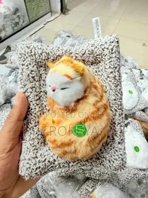 Baby Cat Toys