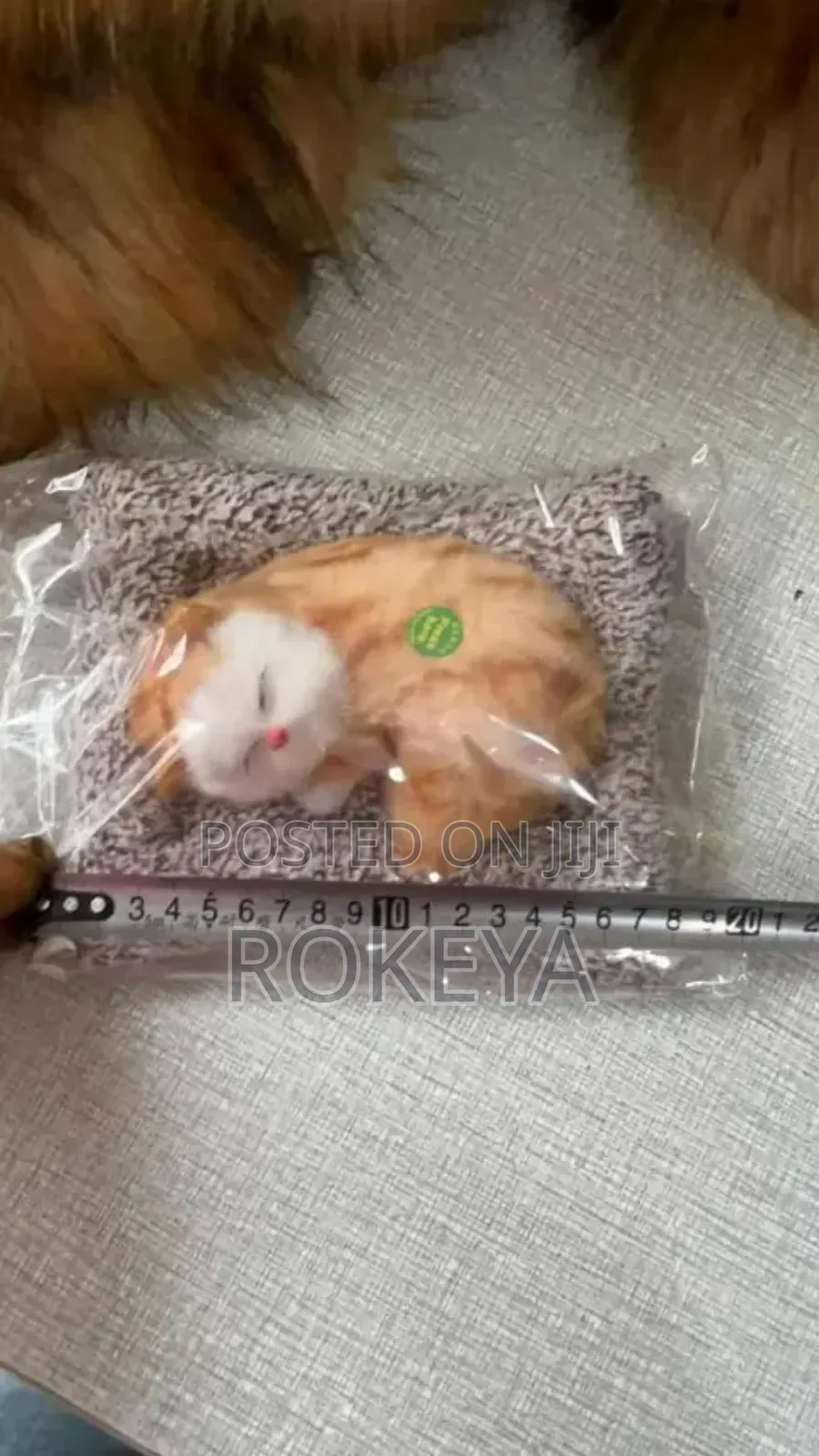 Baby Cat Toys