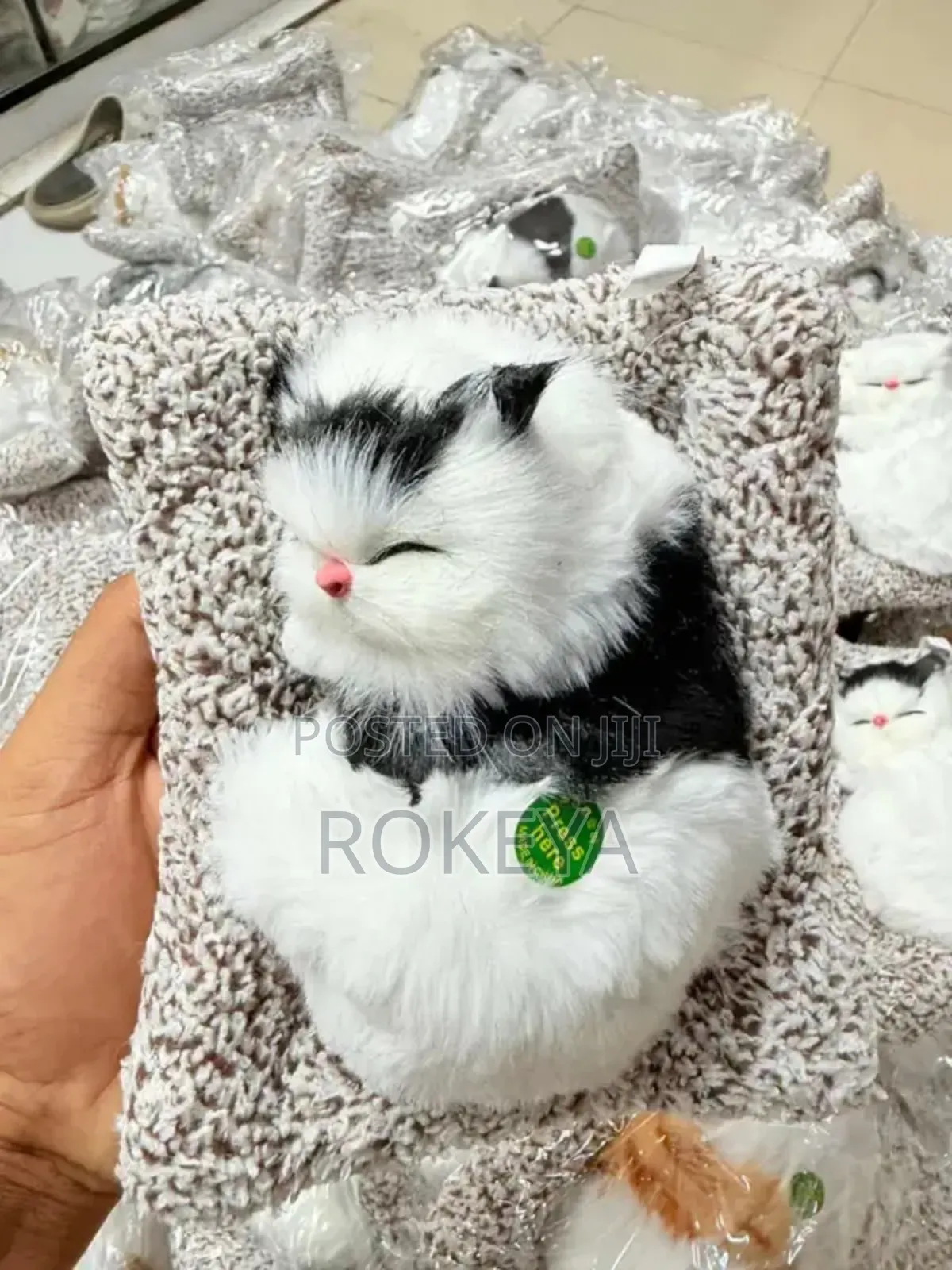 Baby Cat Toys
