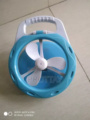 Photo - Fan and Light