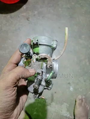 Photo - Pulsar Carburettor Sd