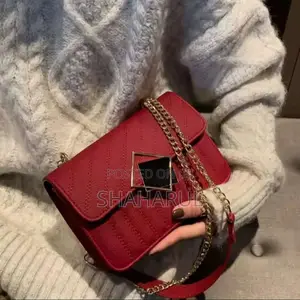 Stylish Ladies Bag 21446