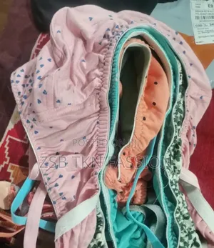 Women's Lace Net Non Padded Non-Wired Regular Bra