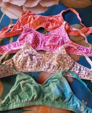 Women's Lace Net Non Padded Non-Wired Regular Bra