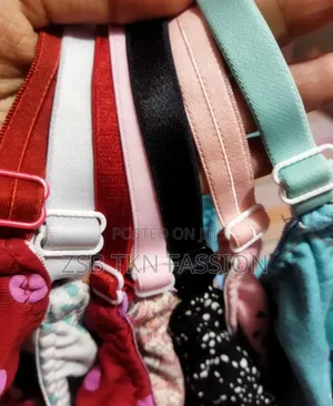 Women's Lace Net Non Padded Non-Wired Regular Bra