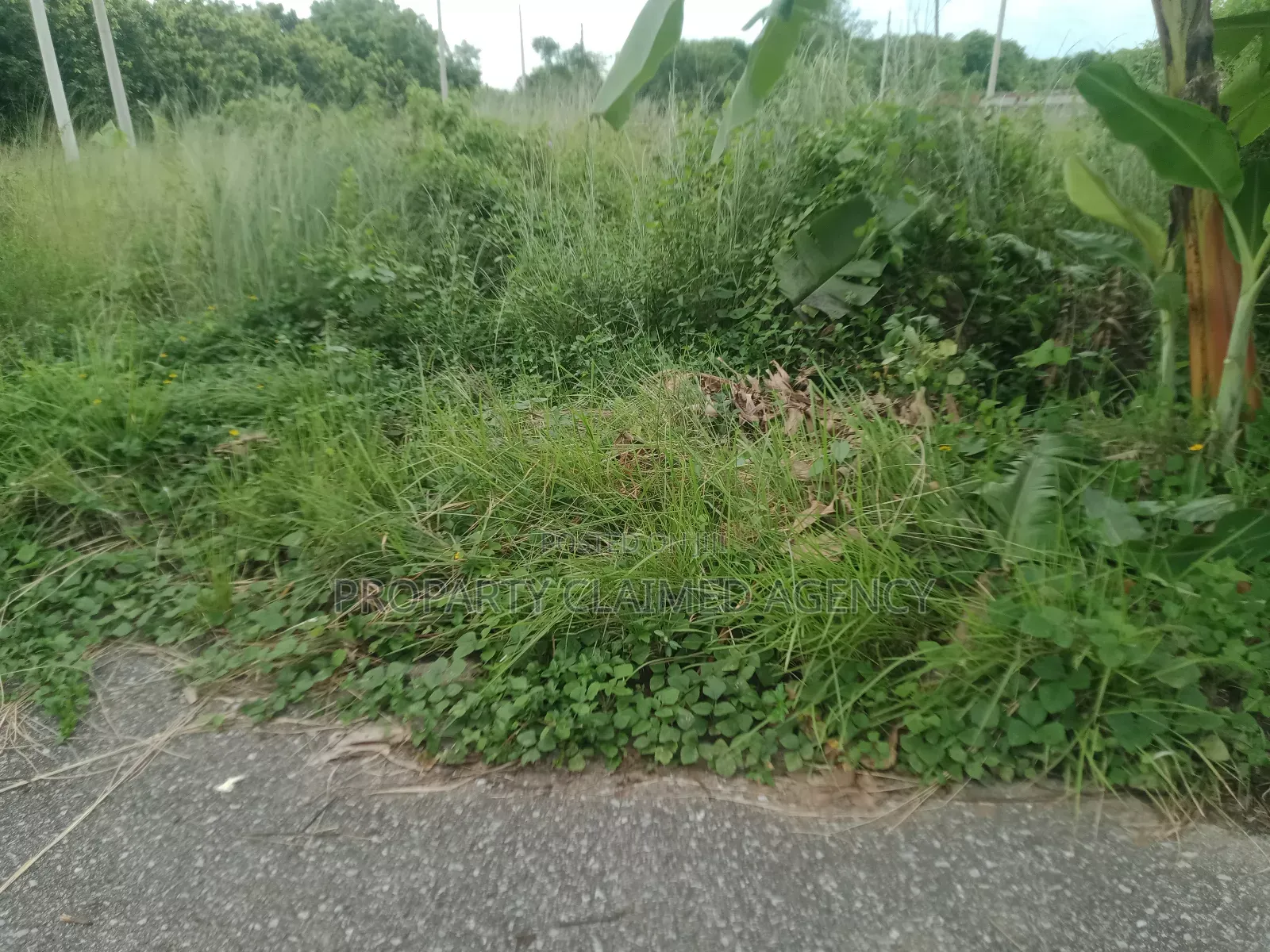 Purbachal Land Sector 23