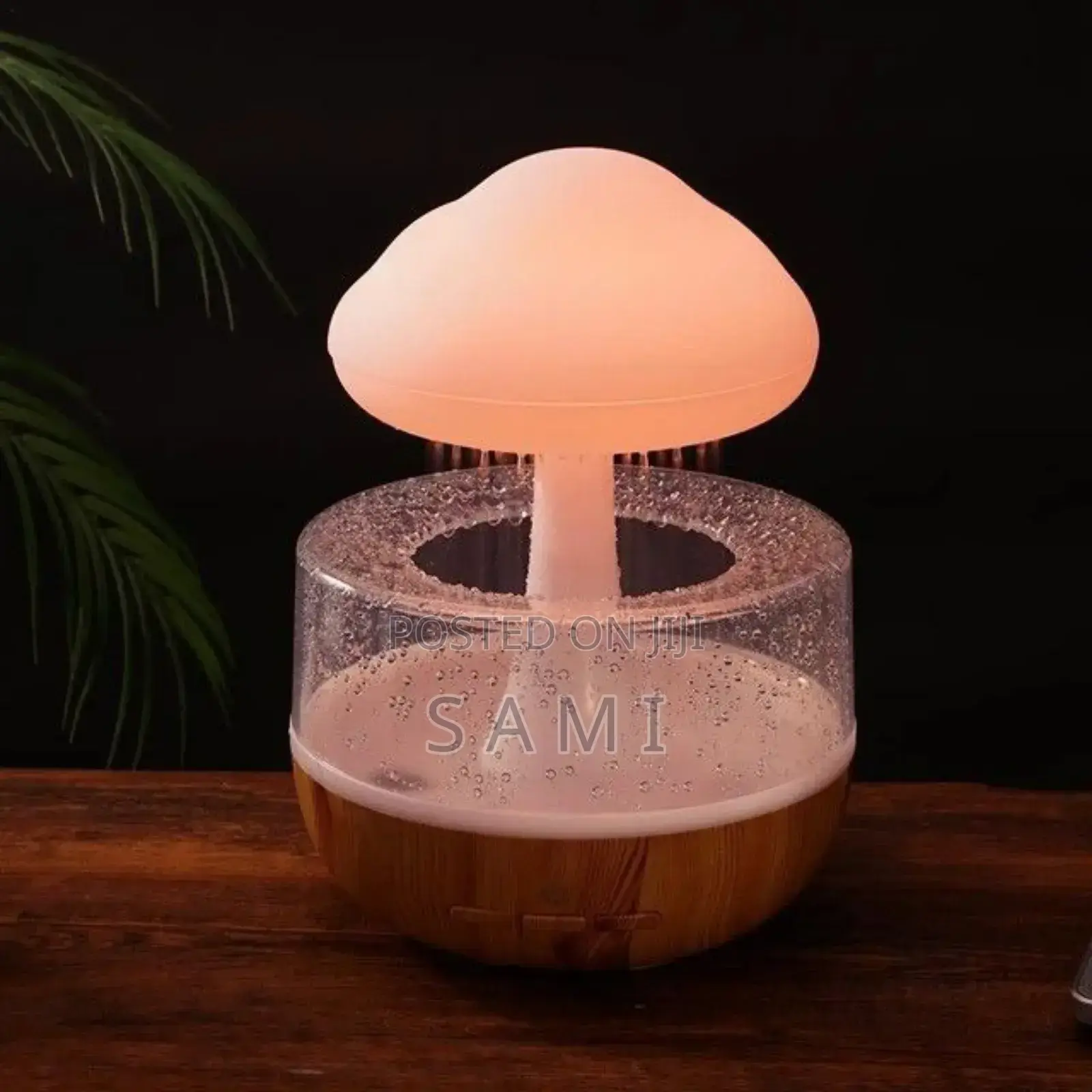  Rain Cloud Night Light Humidifier Oil Diffuser