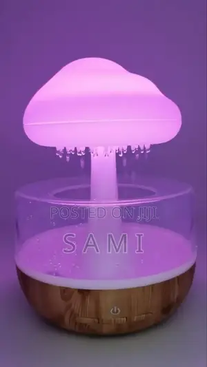  Rain Cloud Night Light Humidifier Oil Diffuser