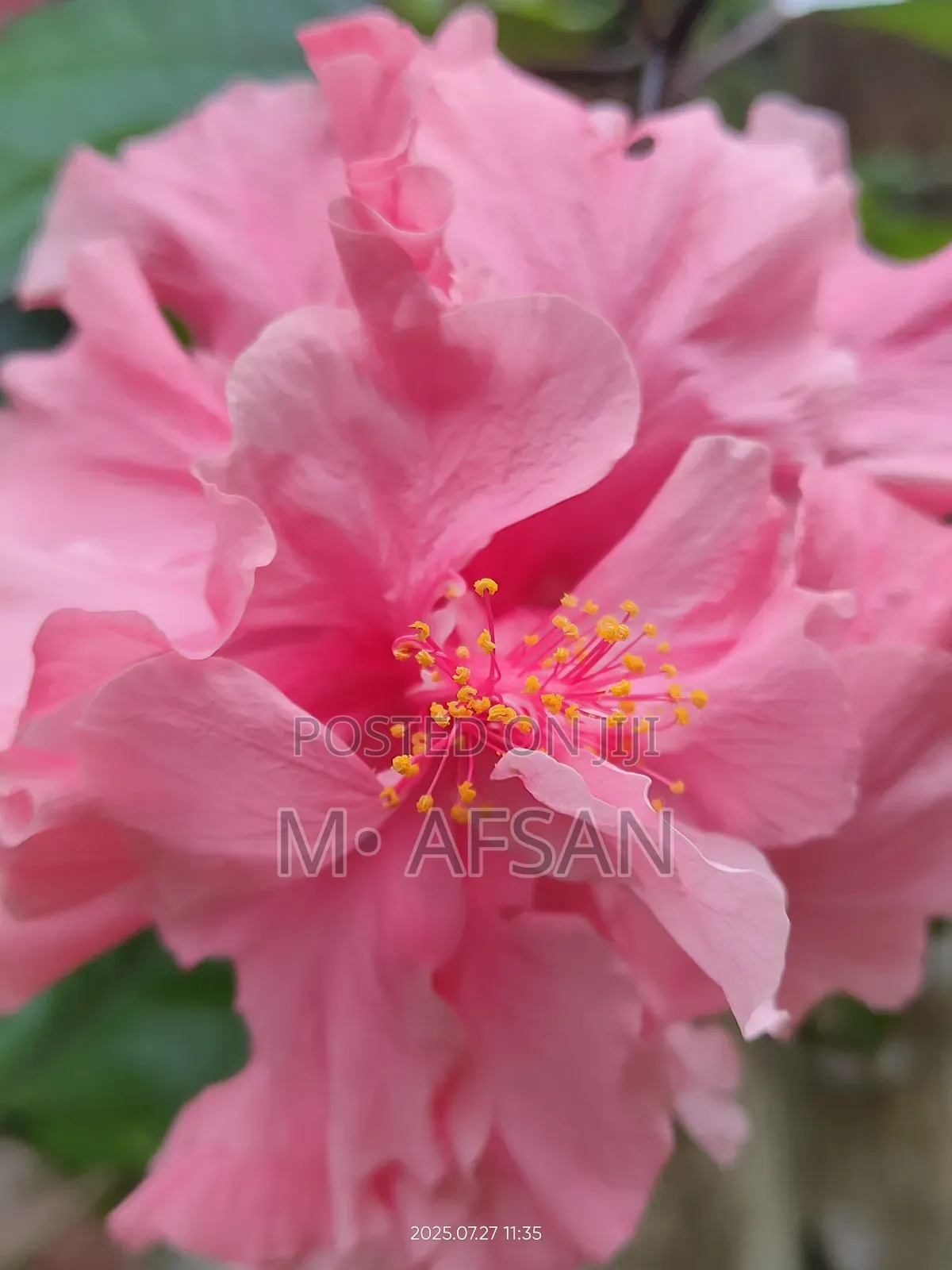 Realme X3 SuperZoom 256 GB Blue