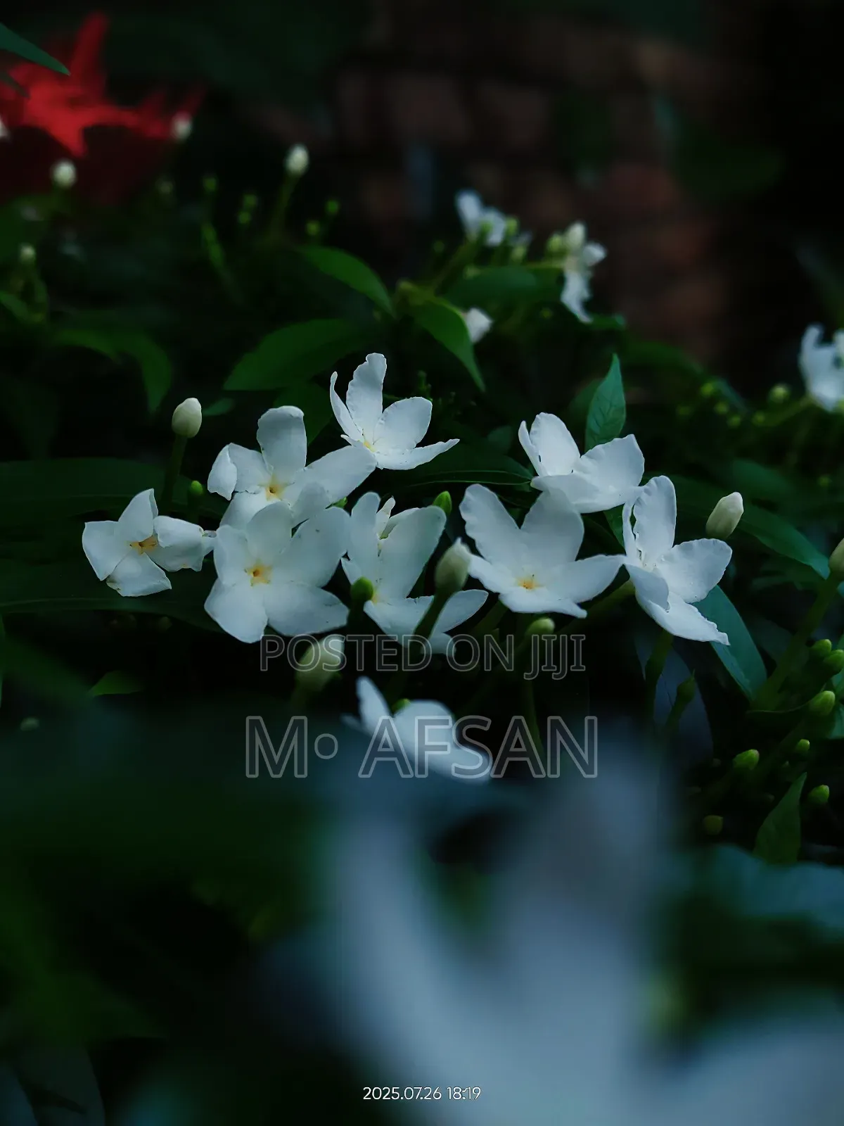 Realme X3 SuperZoom 256 GB Blue