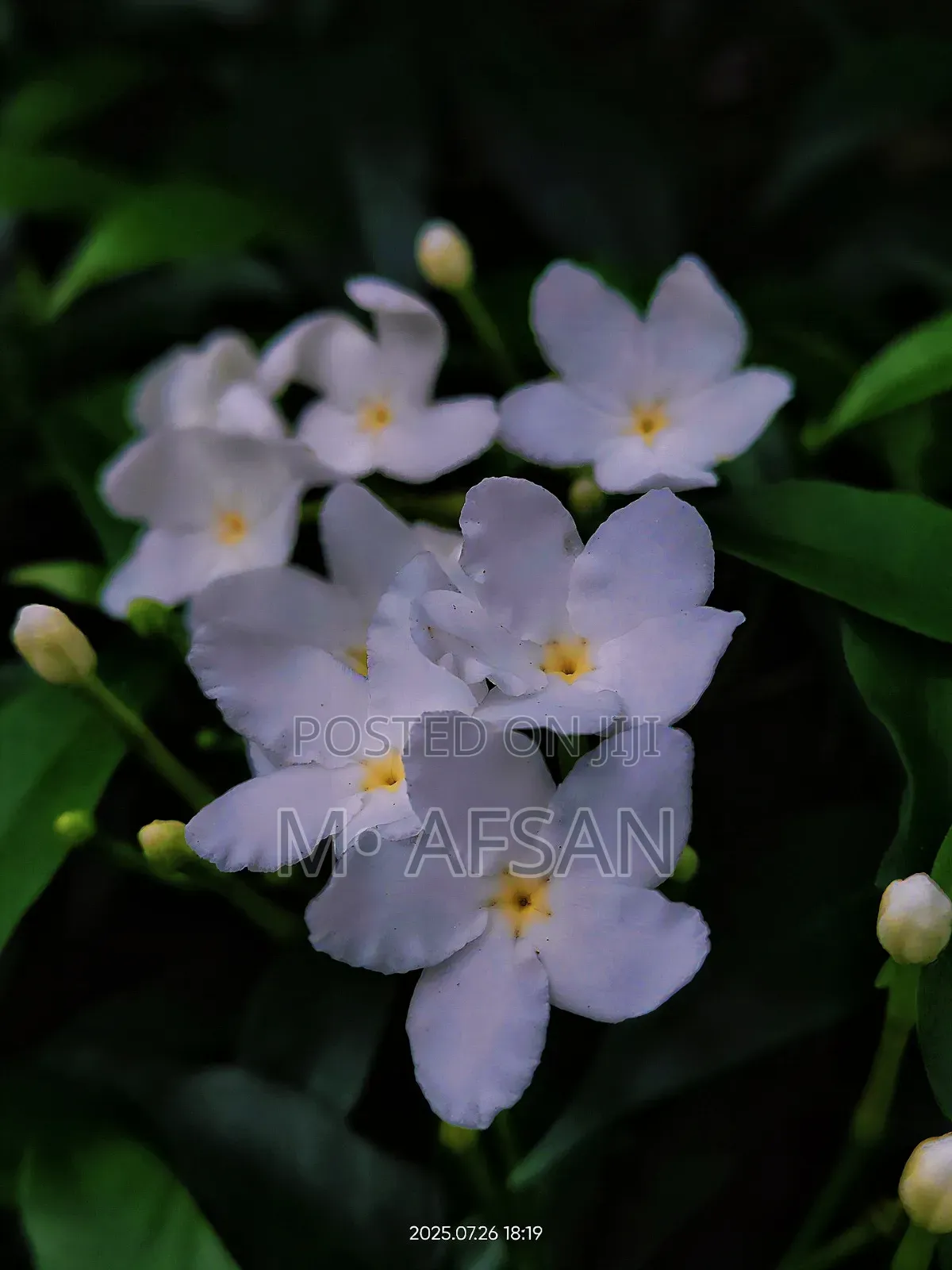 Realme X3 SuperZoom 256 GB Blue