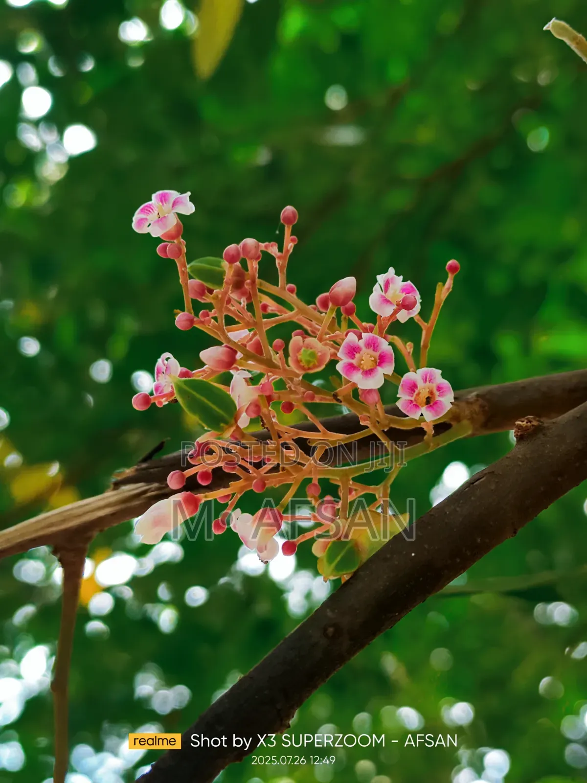 Realme X3 SuperZoom 256 GB Blue