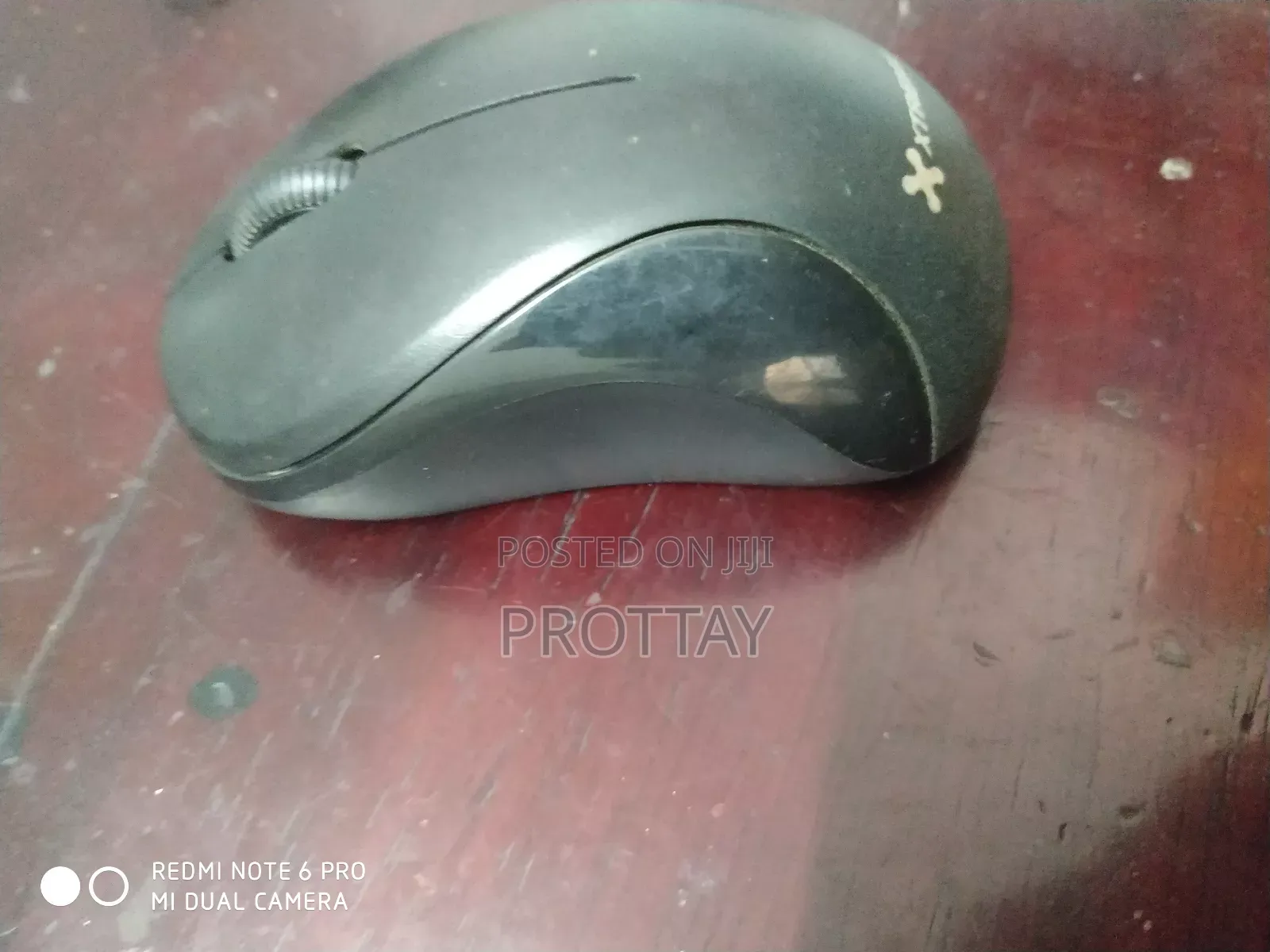 Mouse Wm288
