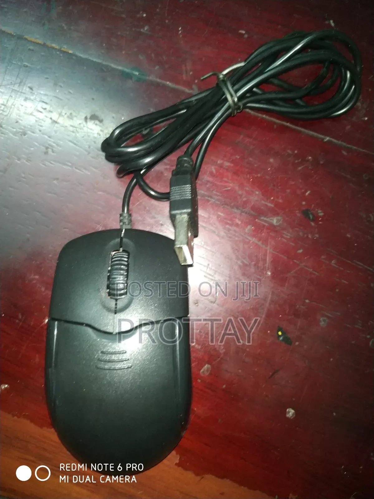 Mouse Wm288