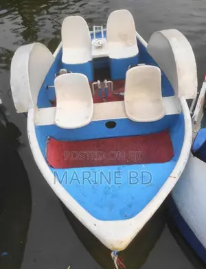Paddle Boat 4 Person