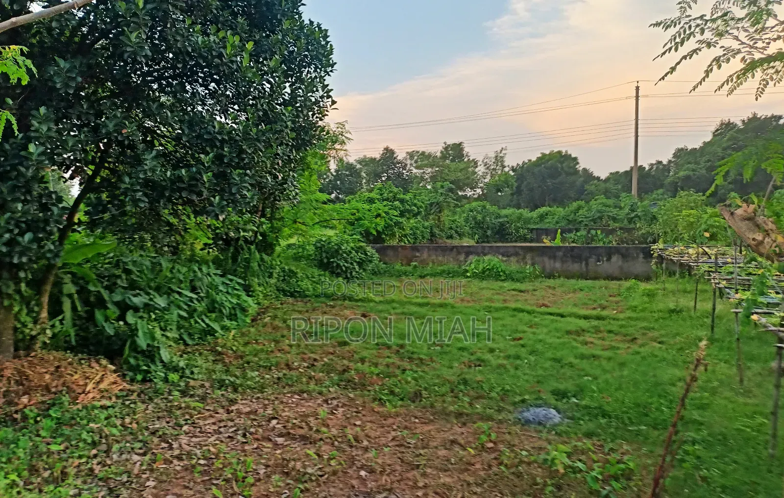 5 Katha Plot for Sale Near the Lake, Adjacent to Jolsiri in Purbachal.