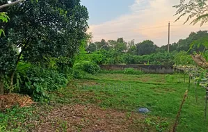 Photo - 5 Katha Plot for Sale Near the Lake, Adjacent to Jolsiri in Purbachal.