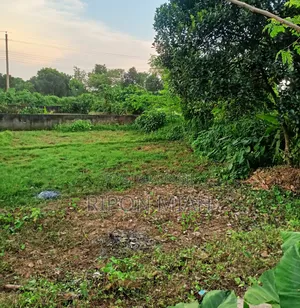 5 Katha Plot for Sale Near the Lake, Adjacent to Jolsiri in Purbachal.