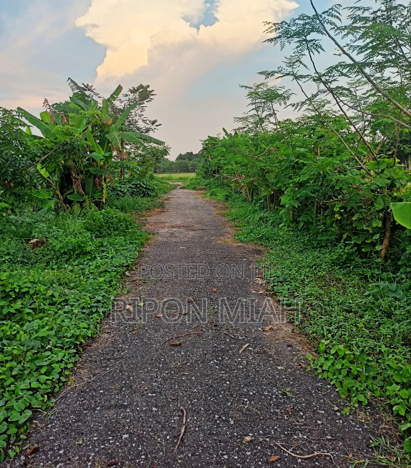 5 Katha Plot for Sale Near the Lake, Adjacent to Jolsiri in Purbachal.