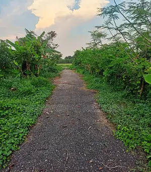 5 Katha Plot for Sale Near the Lake, Adjacent to Jolsiri in Purbachal.