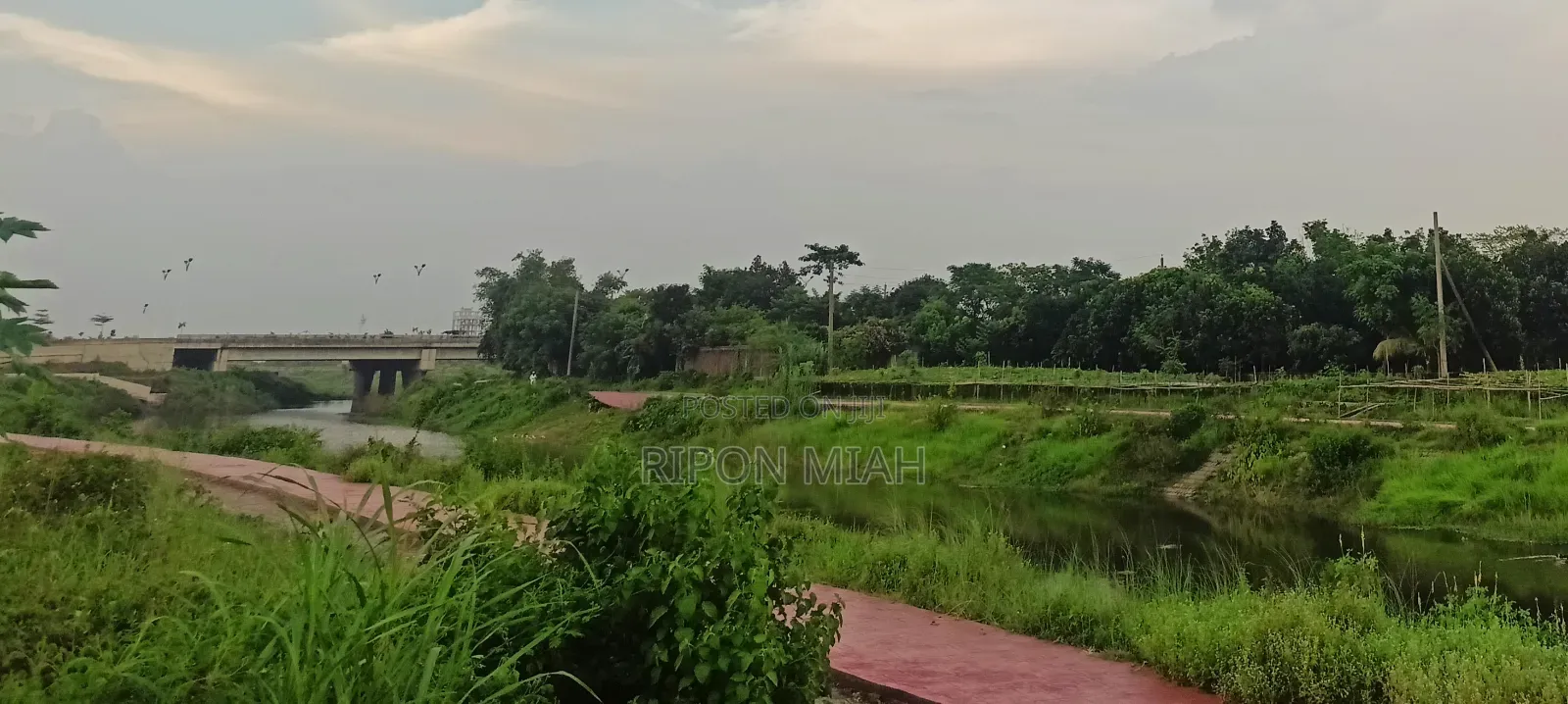 5 Katha Plot for Sale Near the Lake, Adjacent to Jolsiri in Purbachal.