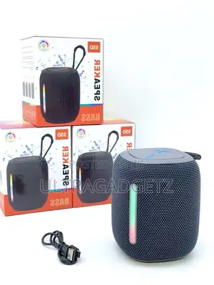 Bs-55d Portable High-Quality Wireless Bt Speaker
