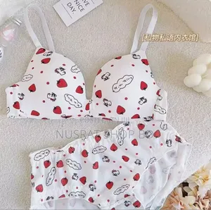 Photo - New Style Original China Bra Set