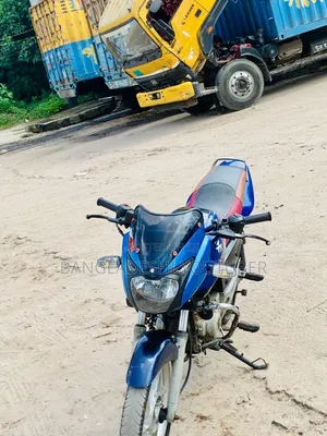 Bajaj Pulsar 150 2008 Blue